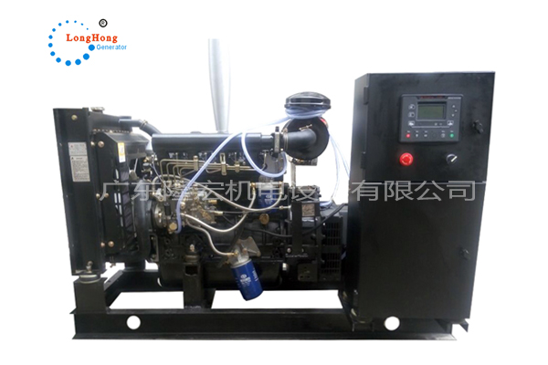 16kw(20kva) Jiangsu Yangdong diesel generator set -YSD490D water-cooled generator factory direct sale